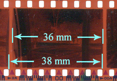 Scansione digitale negativi 35mm a strisce o singoli